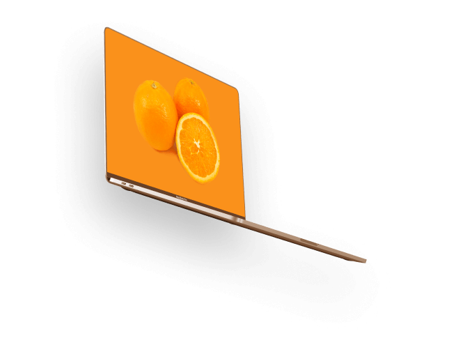 Web Design & Development